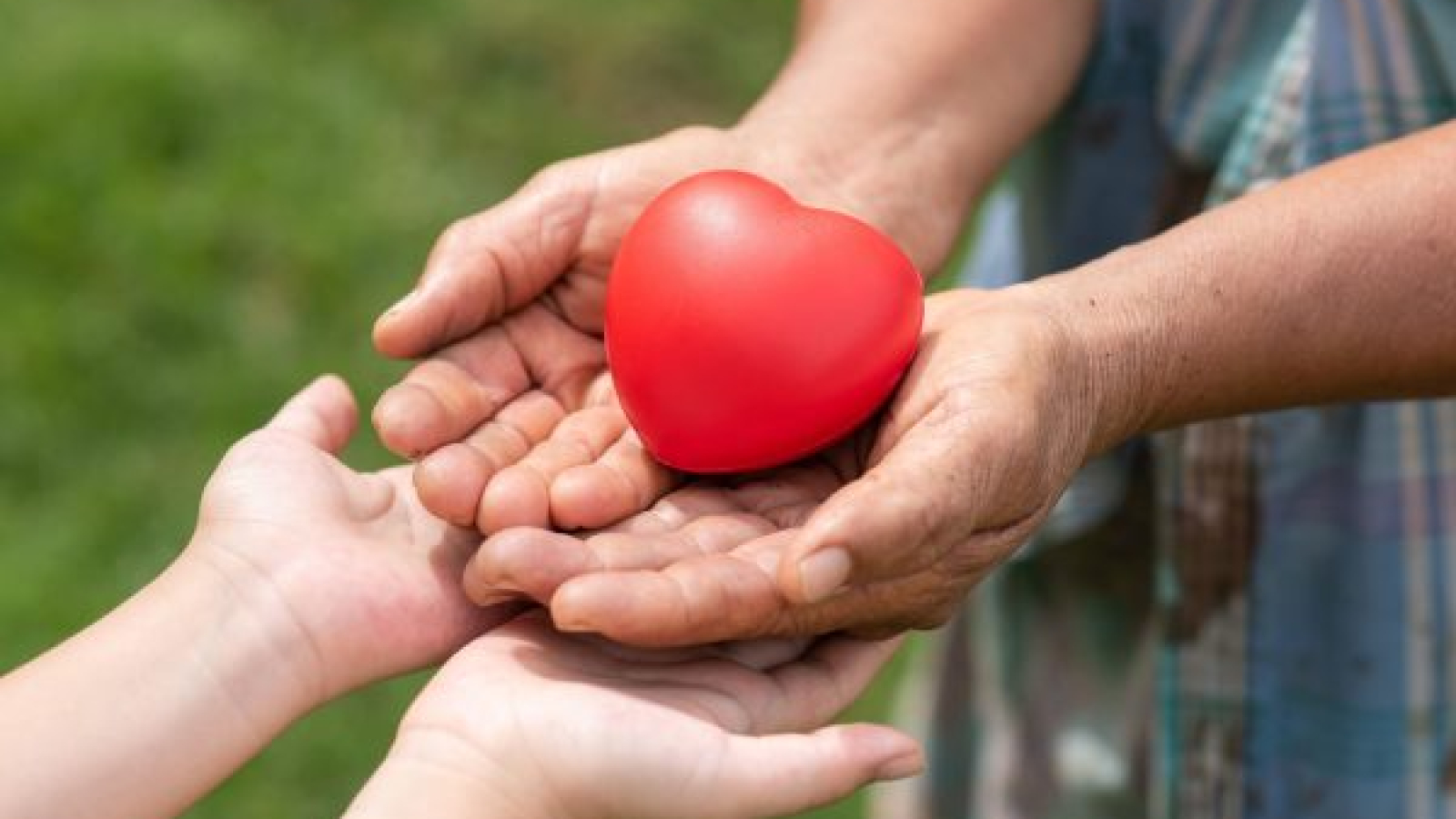 IMAGEM PARA ARTIGO 5 people-holding-rubber-heart comprimido