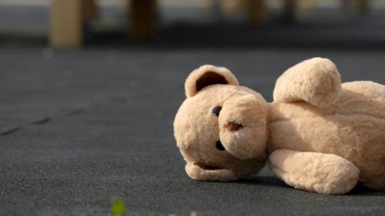 um-bonito-urso-de-pelucia-ao-ar-livre compressed