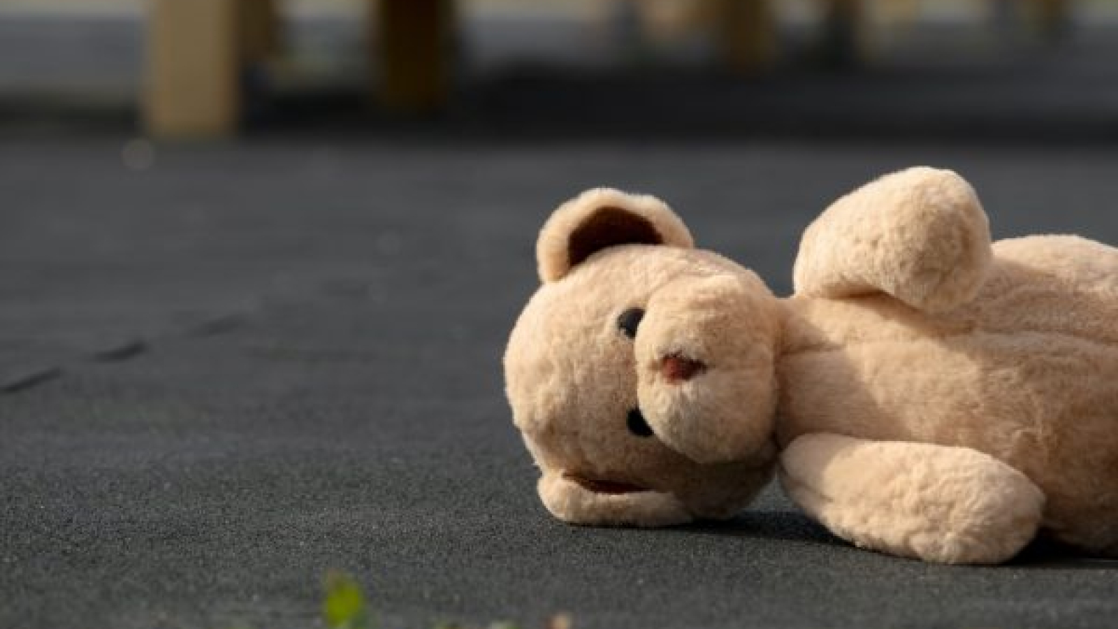 um-bonito-urso-de-pelucia-ao-ar-livre compressed