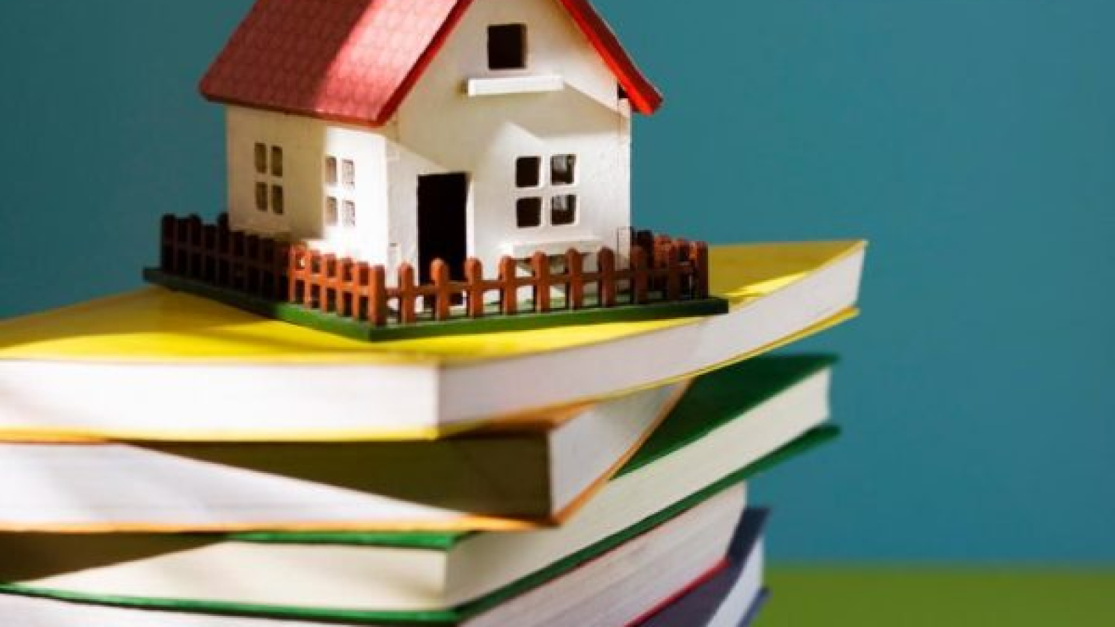 WhatsApp Image 2026-02-27 at 14.58.37